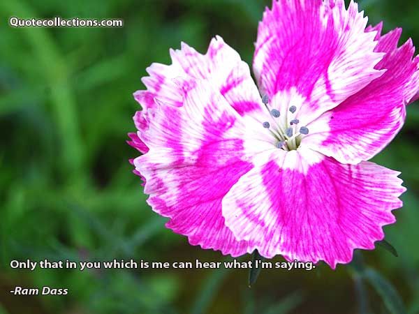 Ram Dass Quotes4